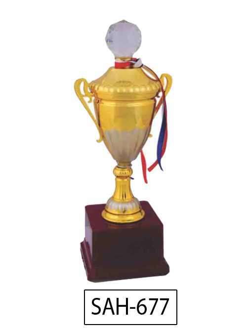 diamond gold shine trophy