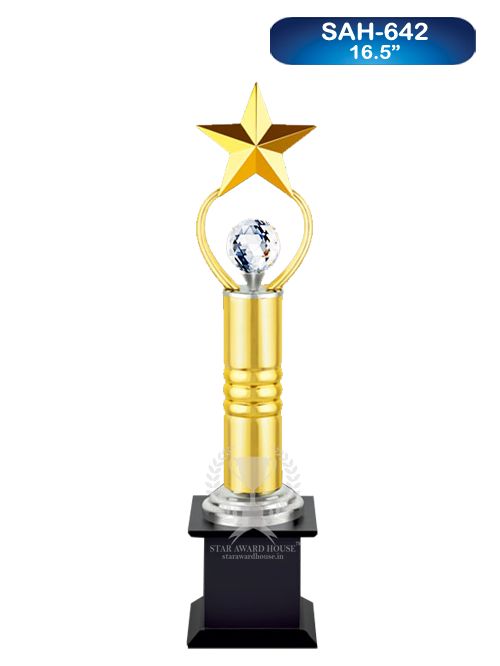 Star Achiever Award